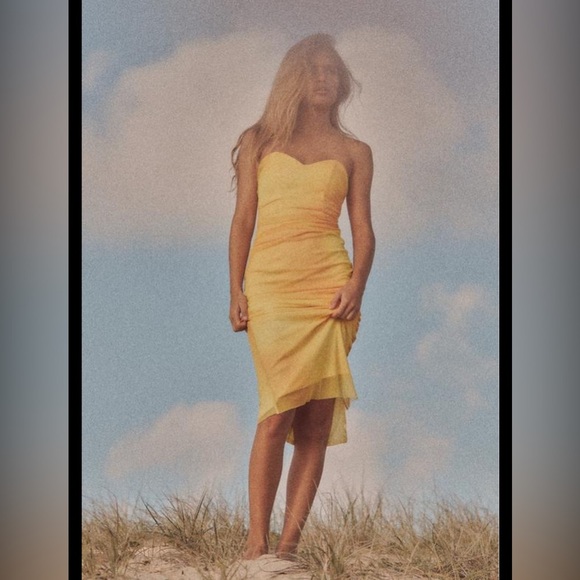 Zara PRINTED TULLE STRAPLESS DRESS - Picture 1 of 6